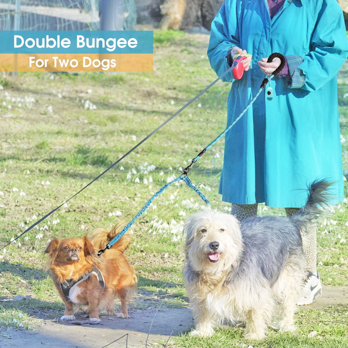 Double Dog Leash, 4 FT Rope Dog Leash with Tangle Free Shock Absorbing Bungee and Poop Bags for Dual Small Medium Large Dogs (Medium/Large, Blue)