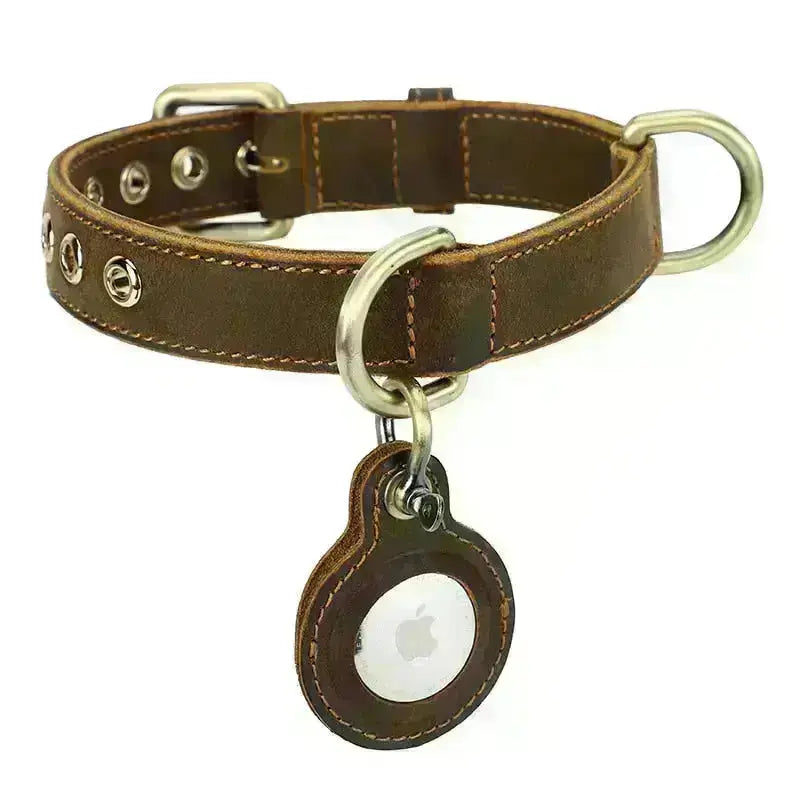 Luxury Genuine Leather Collar w/ AirTag Case