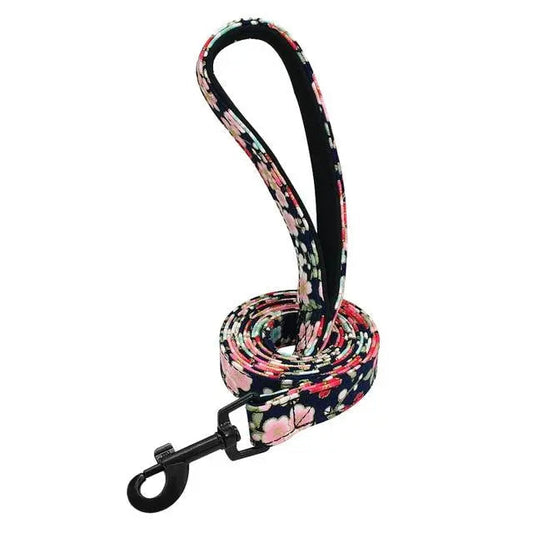 Fashion and Colorful Strong Dog Leads