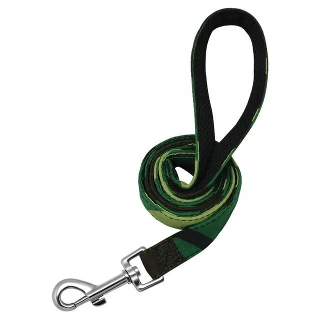 Fashion and Colorful Strong Dog Leads