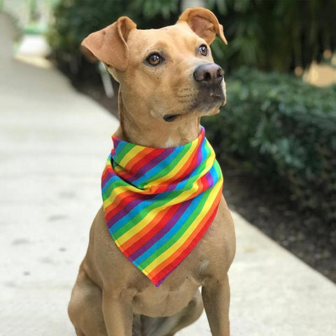 RAINBOW BANDANA