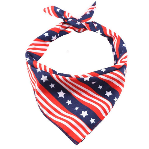 USA BANDANA