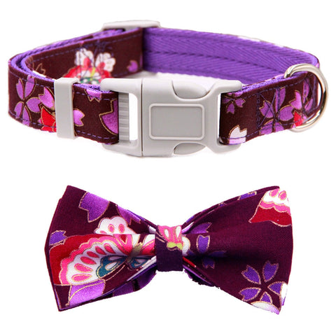 BOWTIE COLLAR