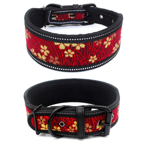 ASIA COLLAR