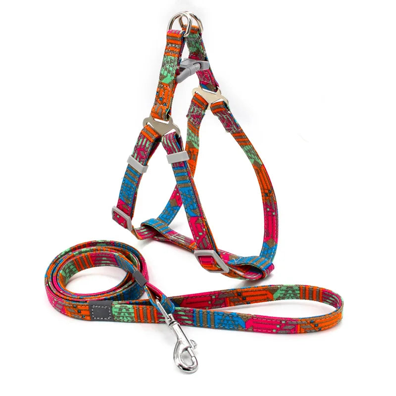 Pawadiz Wild Wanderer Tribal Print Dog Harness and Leash Set
