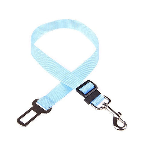 SECURITY CAR LEASH