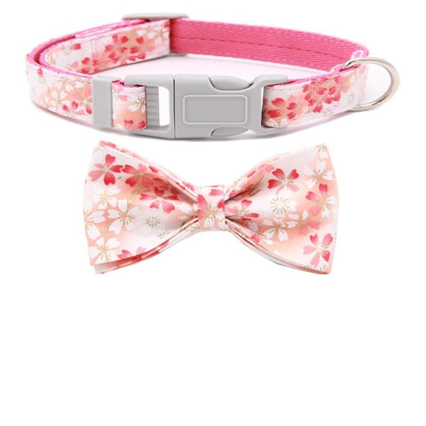 BOWTIE COLLAR