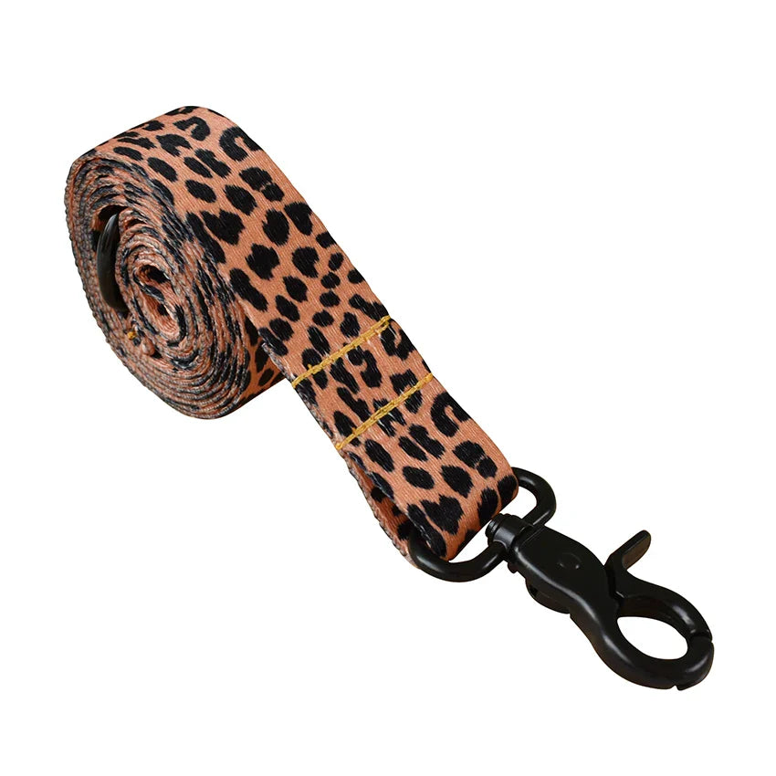 Pawadiz special Dog Leash: Strong and Stylish Walks in 15 Vibrant Colors