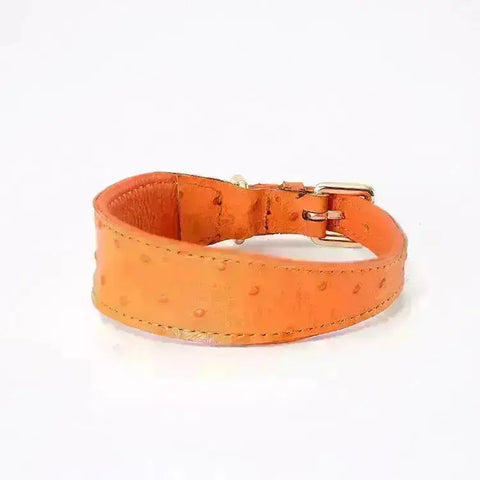 Leather Dog Collar