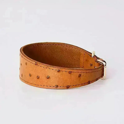 Leather Dog Collar