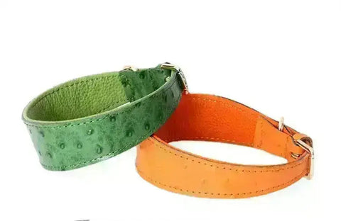 Leather Dog Collar