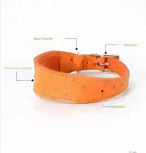 Leather Dog Collar