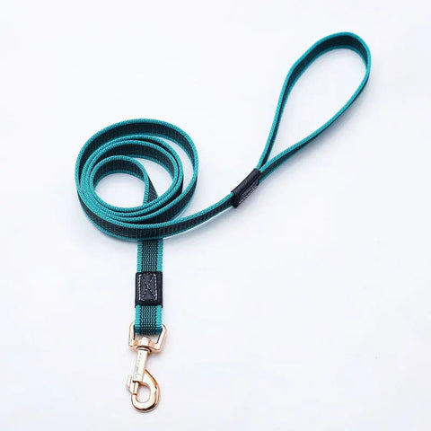 Long Dog Leash - Best Dog Leash for Pulling