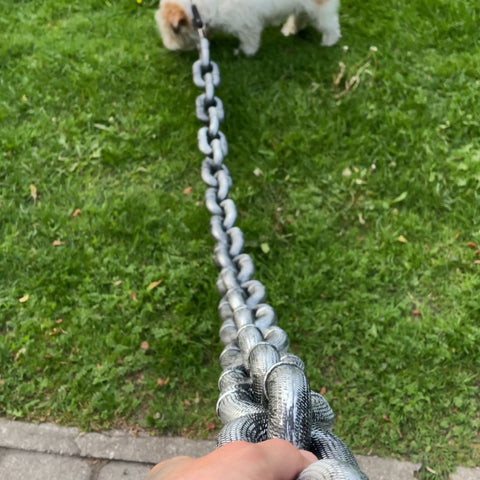 PawGuard Chain Lead