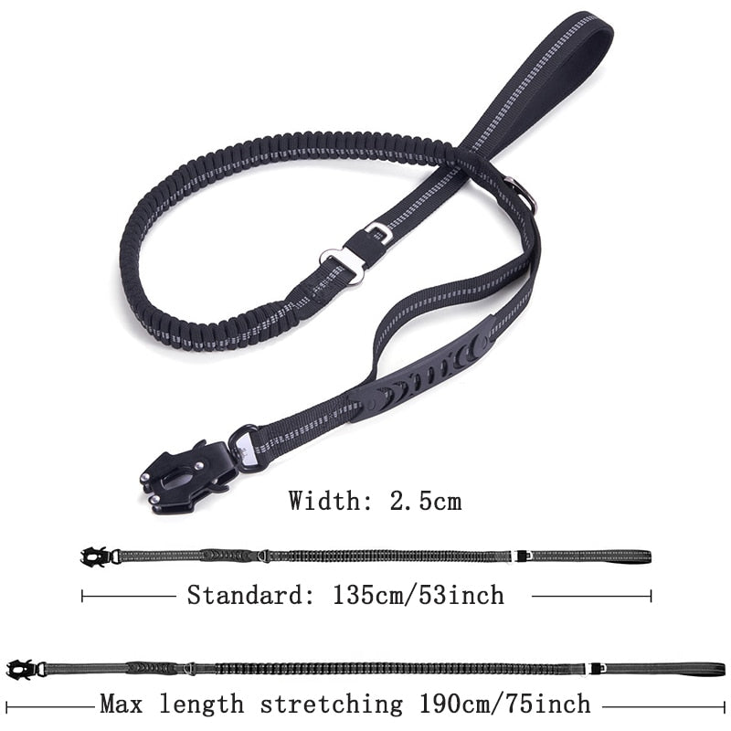 Bungee Dog Leash