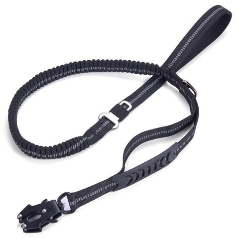 Bungee Dog Leash