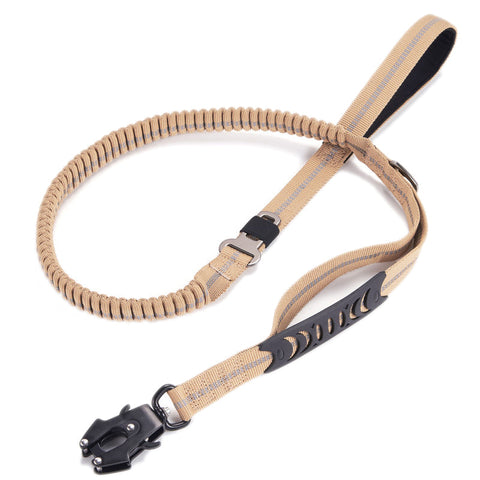 Bungee Dog Leash