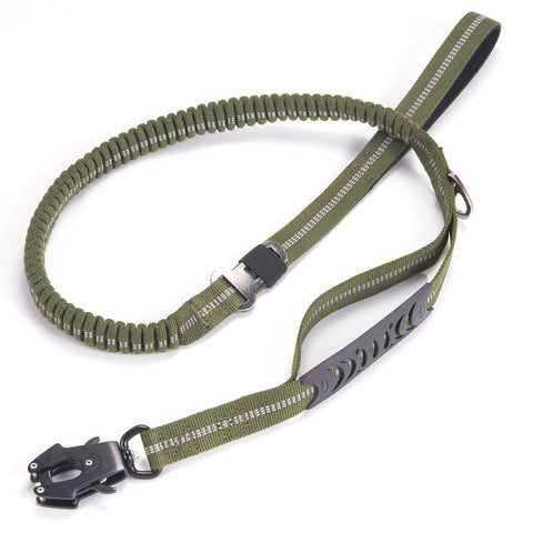 Bungee Dog Leash