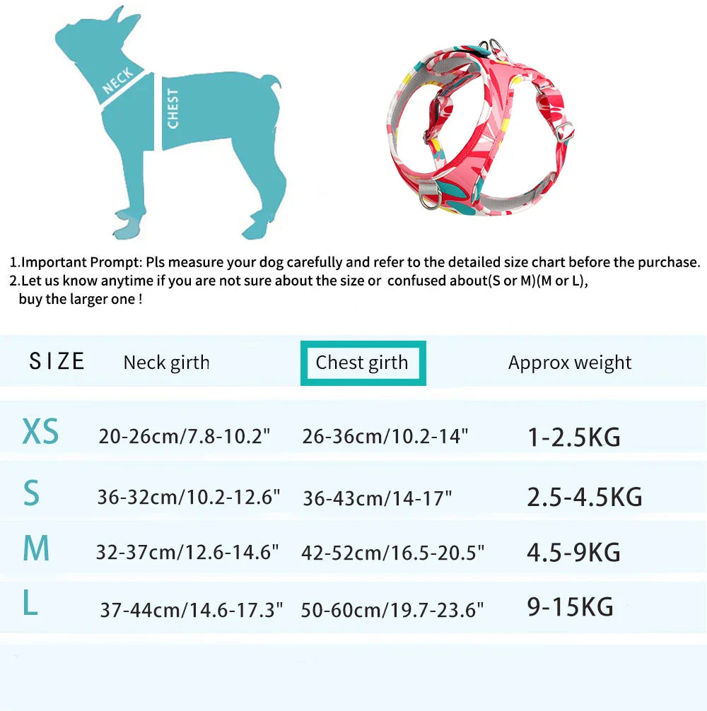 Pawadiz Pawsome All-in-One Dog Walking Kit: Stylish Walks Made Easy