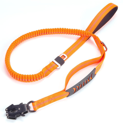 Bungee Dog Leash