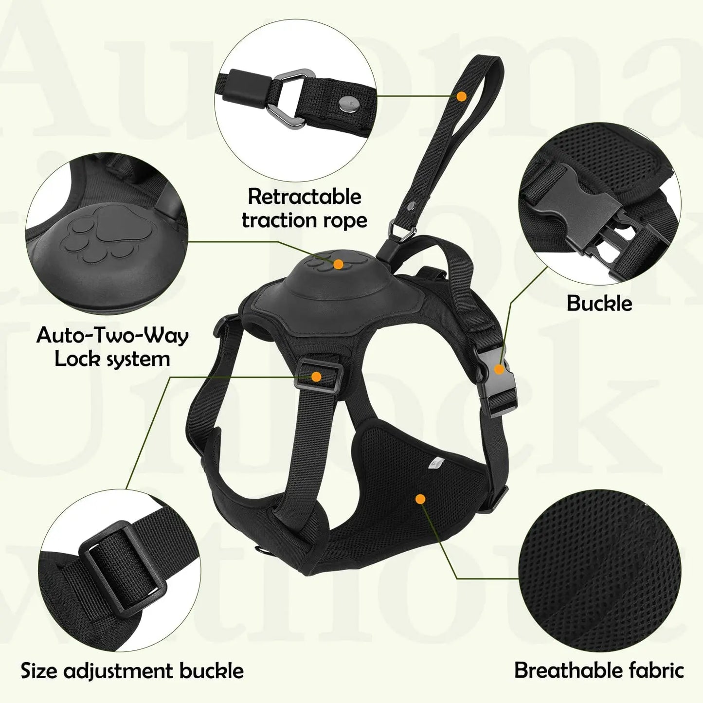 Pawadiz two-in-One Retractable Dog Leash