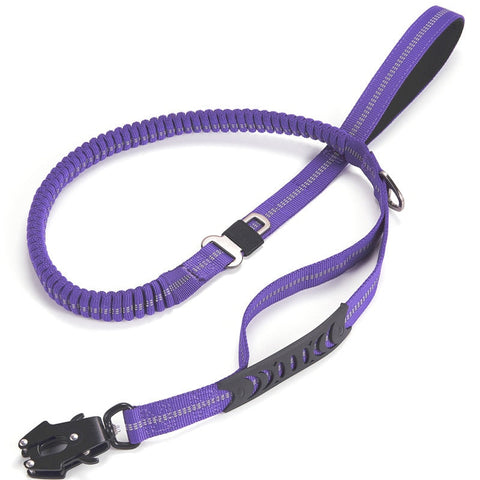 Bungee Dog Leash