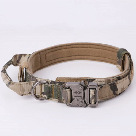 MILITARY COLLAR